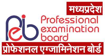MP Professional Examination Board